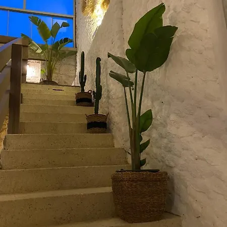 阿里科酒店 酒店 阿拉恰特