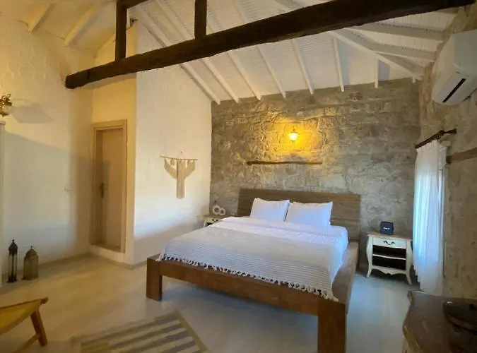 Aliko 4*